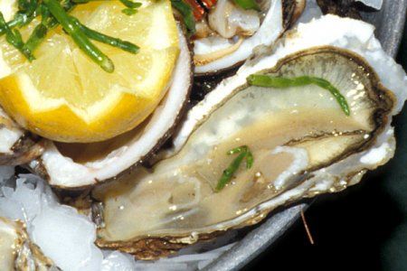 Oysters