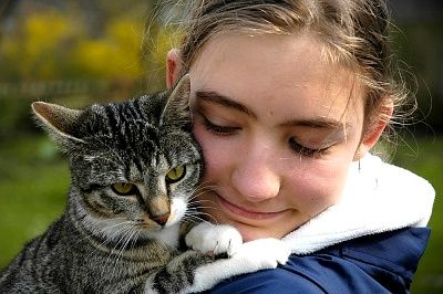 Allergy sa pusa