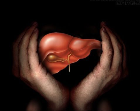 Ang atay ng tao mula sa mga stem cell