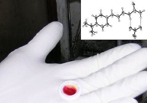 Ang pagiging epektibo ng isang spray na may mga cell ng balat sa paggamot ng trophic ulcers