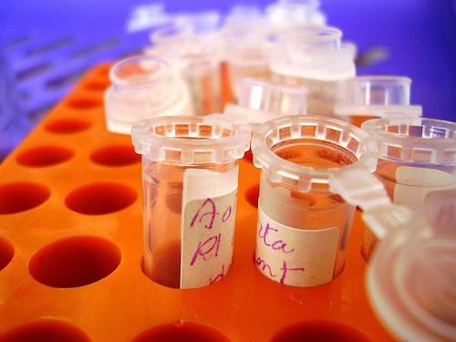 Testosterone – mito o kathang-isip?