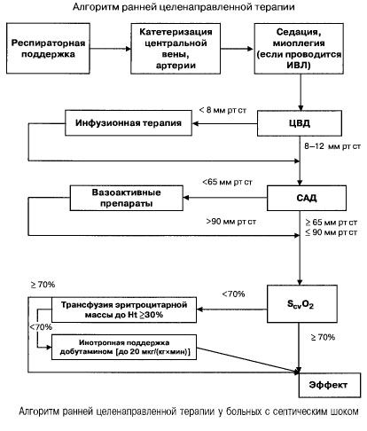 Algorithm para sa maagang therapy na nakadirekta sa layunin sa mga pasyente na may septic shock