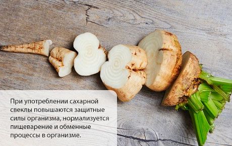 Sugar beet