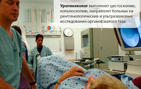 Urgekekologiya