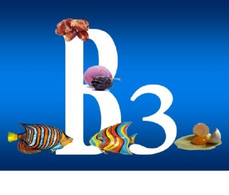 bitamina B3 staphylococcus